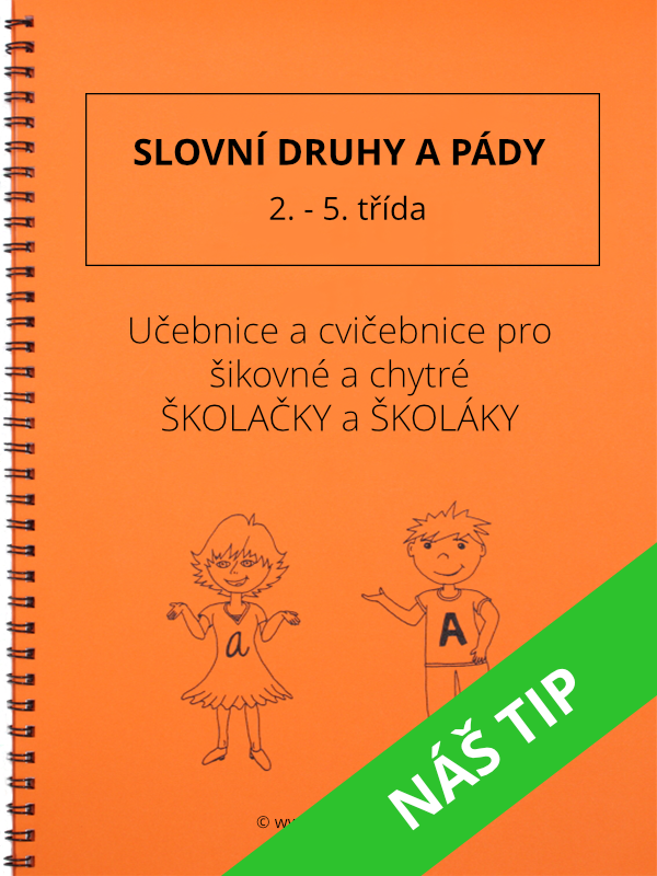 Slovní druhy a pády